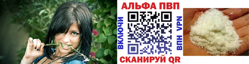 дарнет шоп блэк спрут зеркало APVP СК Шахты