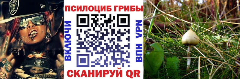 Галлюциногенные грибы Cubensis  Шахты 