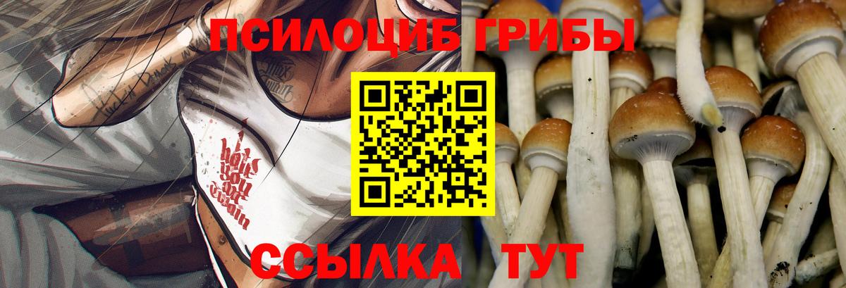Псилоцибиновые грибы прущие грибы  Вход с VPN  Галлюциногенные грибы GOLDEN TEACHER  Шахты 