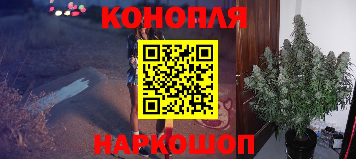 Шишки марихуана план  МАРИХУАНА планчик  Шишки марихуана Amnesia  МАРИХУАНА сатива  Шахты  Вход с VPN 